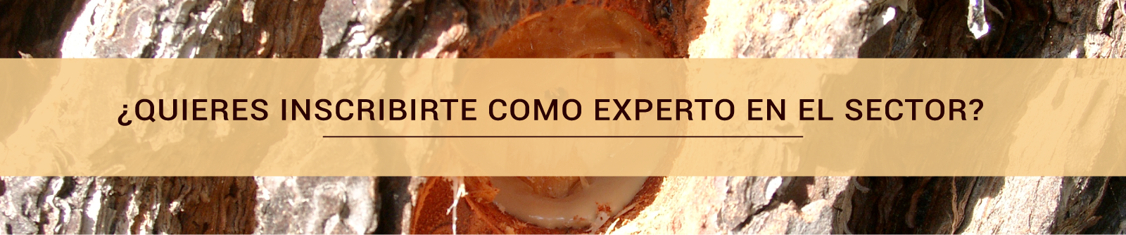 formulario