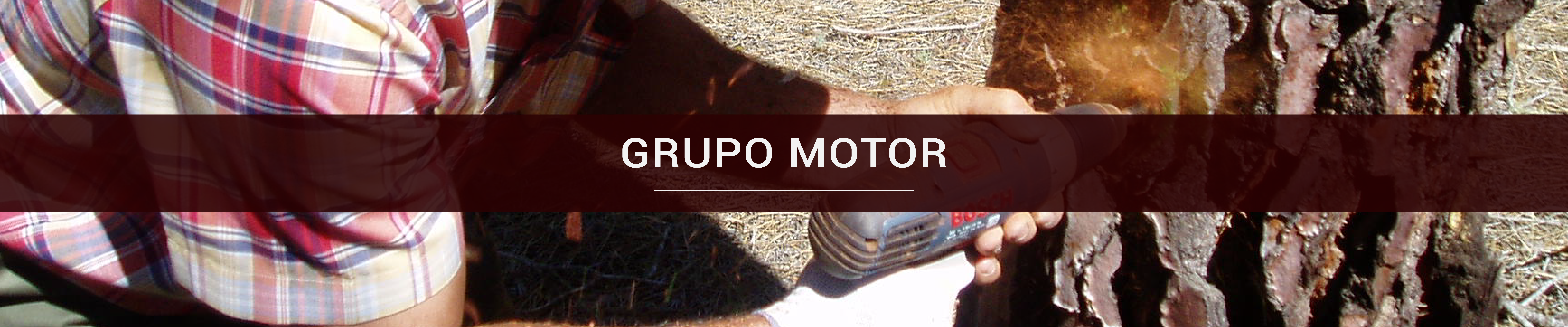 g motor