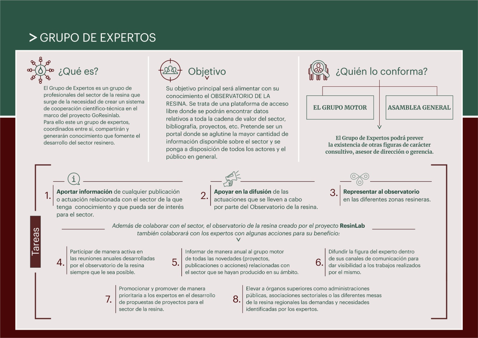 Infografía grupo de expertos