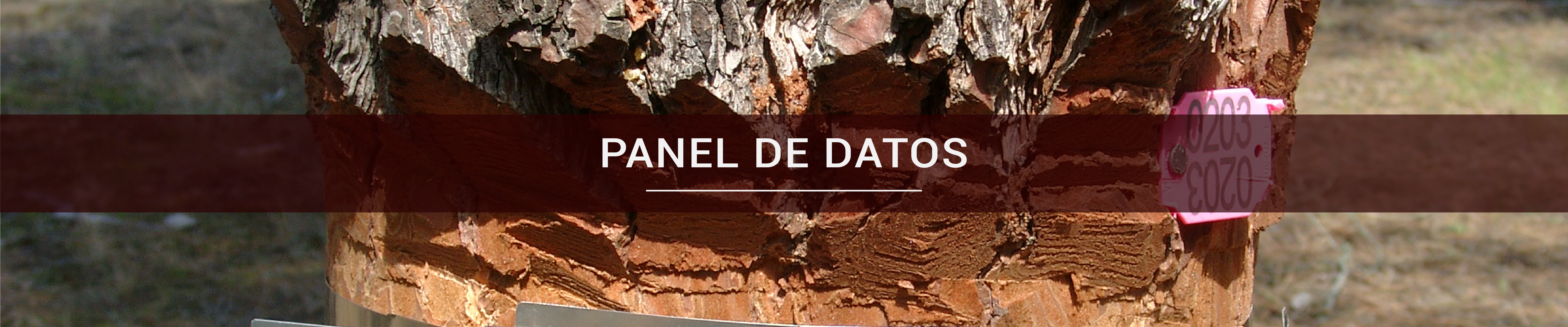 panel de datos