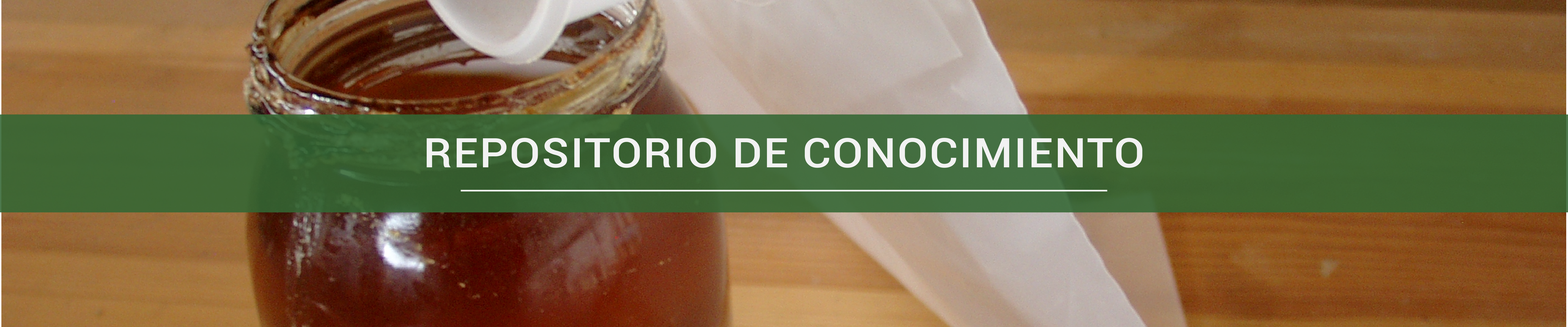 repositorio