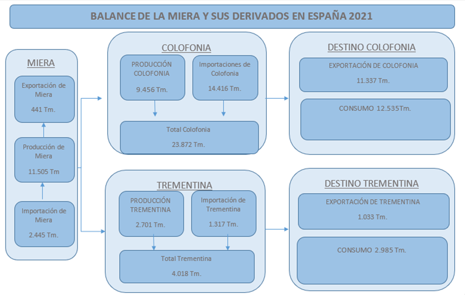 balance miera