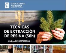 Curso en Silleda sobre técnicas de extracción de resina