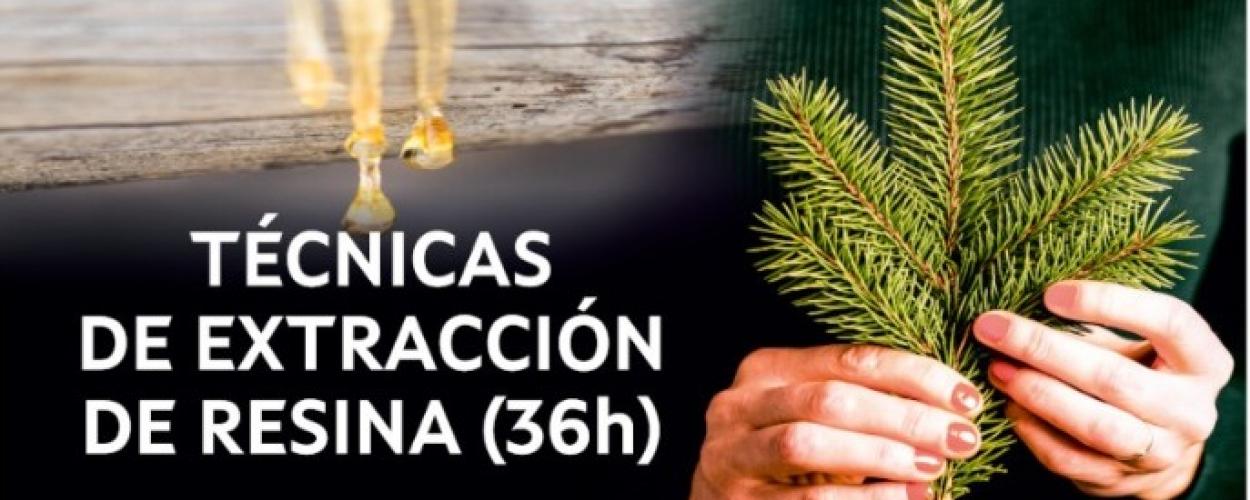 Curso en Silleda sobre técnicas de extracción de resina