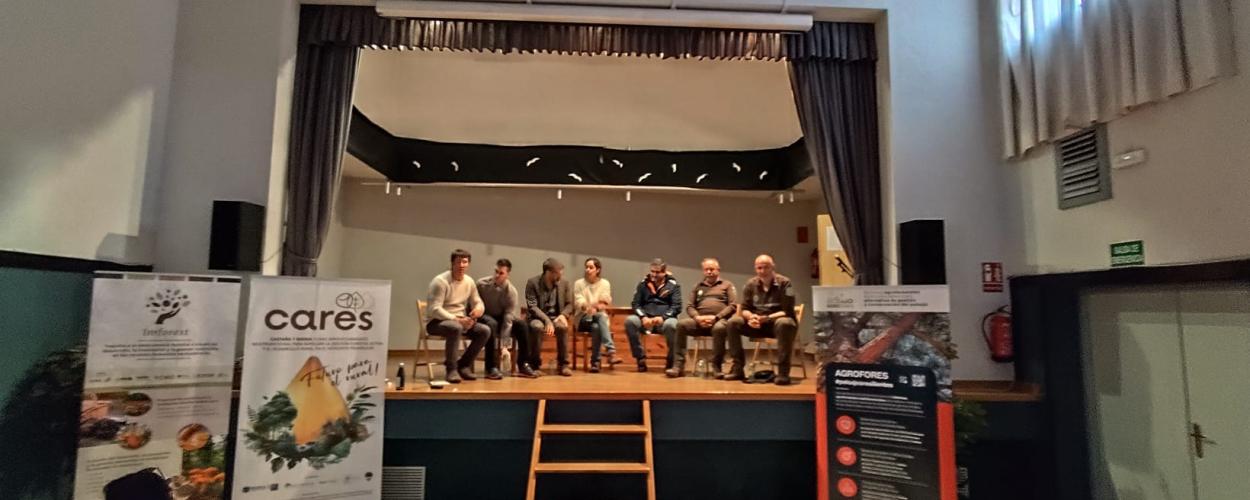 Mesa redonda