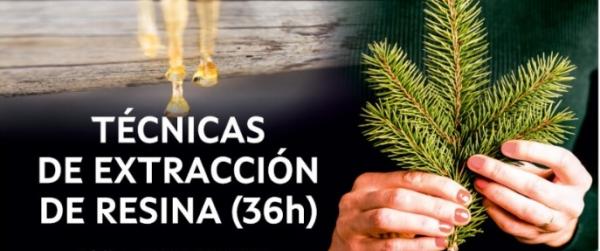 Curso en Silleda sobre técnicas de extracción de resina